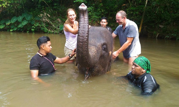 Elephant Park Tour